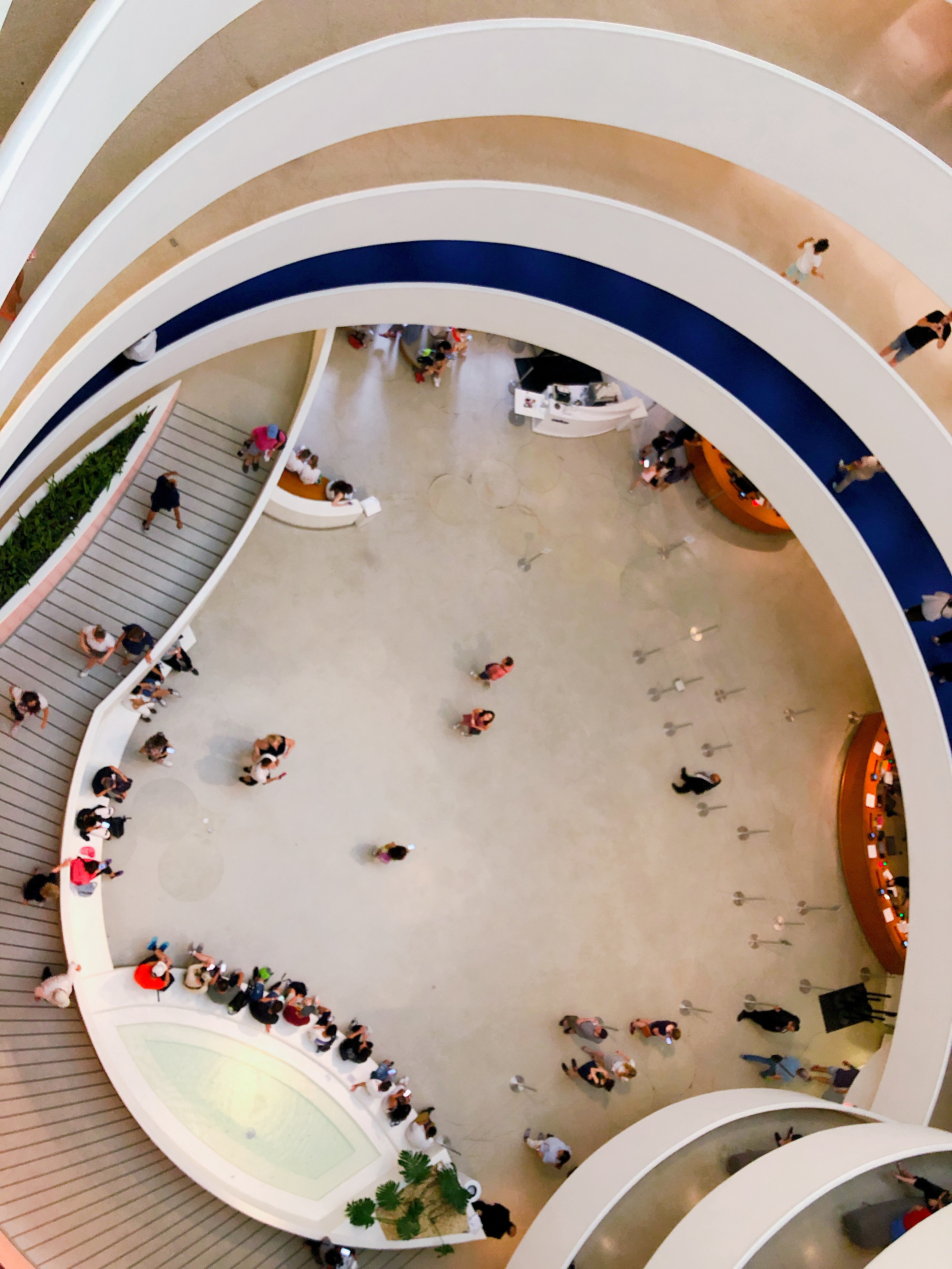 guggenheim spiral
